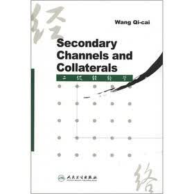 二级经络学（英文）