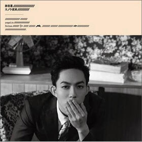 林宥嘉:大小说家(精装版)(2CD) - 华语流行 - 音乐 - 京东JD.COM