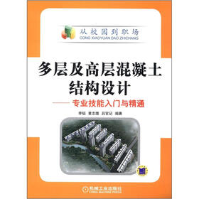 多层及高层混凝土结构设计：专业技能入门与精通