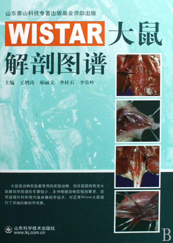 wistar大鼠解剖图谱(精)