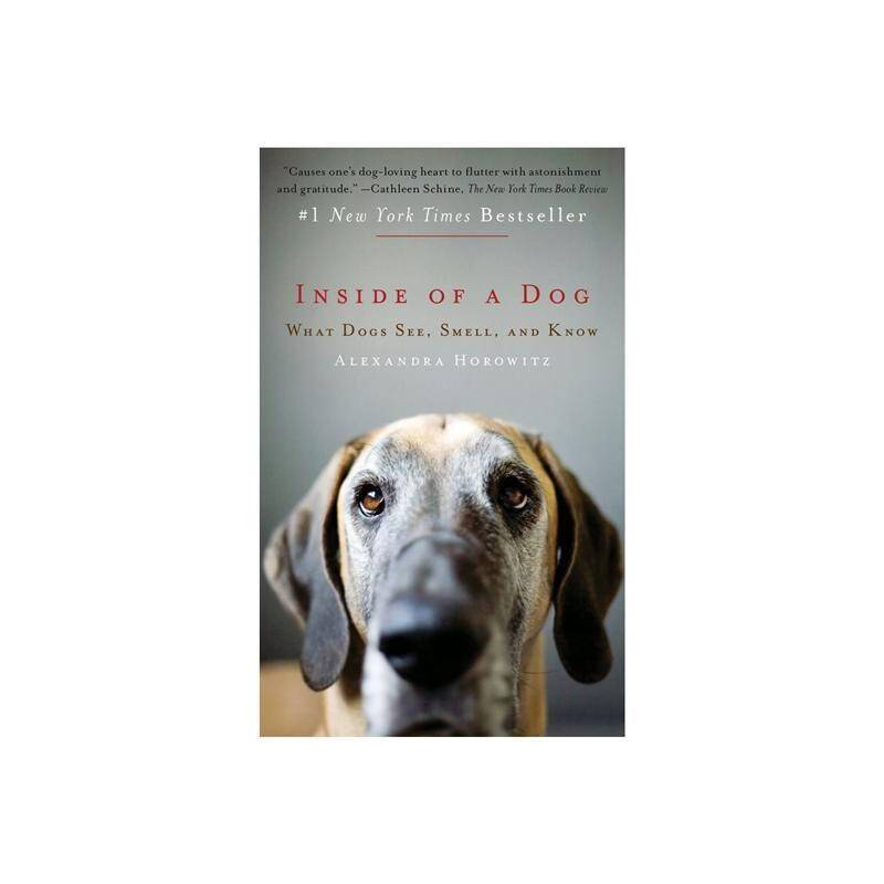 inside of a dog: what dogs see, smell, a