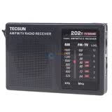 ���� (TECSUN) R202T����ʽ��Ƶ�����������Ӱ��������� ��ɫ
