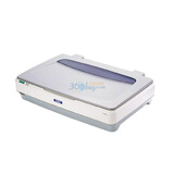 ��������Epson��Expression 10000XL ƽ��ʽɨ����