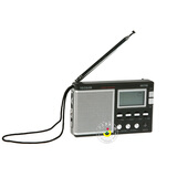 ������TECSUN��R-9702��������ȫ��������������������ɫ��