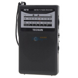 ����(TECSUN)R218 ��Ƶ�����������Ӱ�����������ɫ