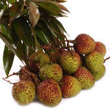 【沱沱工社】精品妃子笑荔枝1斤---初期果皮偏