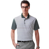 柒牌 男装2013夏季 夏装 男士商务翻领 短袖T恤