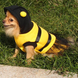 【星播客】带帽蜜蜂蕾丝裙 黄黑条纹款 狗狗服
