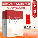 正版 《中华人民共和国民法典》条文精释与实案全析（上中下）杨立新 2020年解读释义 民法典释义