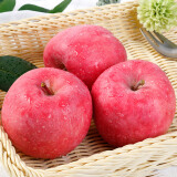 甘肃静宁苹果 红富士苹果水果 果径75mm12枚净重5斤新鲜水果
