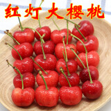 大樱桃新鲜水果国产大红灯樱珠山东大樱桃当季孕妇酸水果 1000g j 26