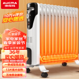 澳柯玛（AUCMA）13片油汀取暖器/取暖器家用/取暖电器/电暖器/电暖气片烤火炉油丁13片电热油汀电暖炉206-13
