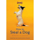 How to steal a dog : a novel