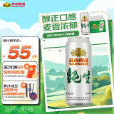 燕京啤酒 10度纯生500ml*12听 整箱送货上门 500mL 12罐