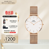 丹尼尔惠灵顿（DanielWellington）DW手表女表 简约女士手表 时尚欧美表送女友生日礼物DW00100163