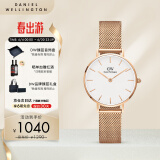 丹尼尔惠灵顿（DanielWellington）DW手表女 简约欧美表钢带石英女士手表生日礼物送女友DW00100219