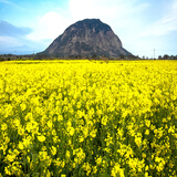 【【境外话卡】泰国WIFI上网电话卡(HAPPY卡