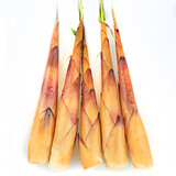 【乐山特产 夹江苦竹笋 鲜笋 2.5kg 包邮和四川特产零食辣食品 艾园 泡椒尖尖笋 天然野生嫩尖笋 脆嫩1袋装哪个好】乐山特产 夹江苦竹笋 鲜笋 2.5kg 包邮和四川特产零食辣食品 艾园 泡椒尖尖笋 天然野生嫩尖笋 脆嫩1袋装有什么区别-商品比较-京东商城