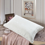 水星家纺 枕头枕芯 单人一只装提花成人睡枕头床品抗菌加厚纤维枕 适中型 74*48cm