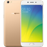 OPPO R9s 全网通4G+64G 双卡双待手机 金色