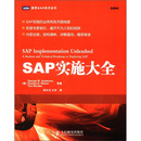 SAPʵʩ��ȫ