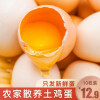 依禾农庄 昌平农场散养 土鸡蛋 柴鸡蛋 10枚怎么样，好用吗，口碑，心得，评价，试用报告