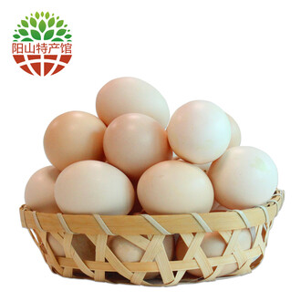 聚焦绿色创新共筑蛋业未来——第四届国际蛋食品博览会全球邀约