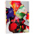 英文原版 viction 五彩缤纷 色彩系列Multicolour 2 品牌包装 平面设计