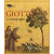 Giotta e Compagni [French Edition]
