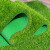 朗茨 仿真草坪地毯人造草皮装饰户外围挡绿植足球场草坪 1.5厘米军绿普通密度19针 1平 1.5厘米军绿普通密度19针