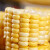 鲜指南（Xian Zhi Nan）玉米 产地新鲜直发水果玉米 9斤装