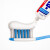 花王（KAO）日本进口牙膏固齿护牙龈 除口腔异味清新口气薄荷牙膏165g