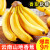 嫩个云南山地香蕉9斤新鲜当季水果整箱大芭蕉叶小米蕉甜香焦10自然熟 5斤