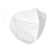 飞尔 耳挂式一次性防护口罩 白色折叠式 N95口罩【白色 20片装】