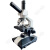 BM彼爱姆视频生物显微镜XSP-BM-1CAPDH(带热台) 配7吋显示屏 LED光源 Y型镜筒 单目4个物镜 1600倍