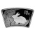 金永恒  2011年生肖兔年银币纪念币 兔年扇形银币（有氧化）