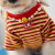 MOEPIE雪耐瑞衣服狗狗衣服小型犬泰迪比熊马尔济斯2024春夏新款条纹T恤 蓝色（不含配饰） XL（推荐12-18斤）