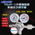 HONYEO鸿业标气减压器YQJF-1氮气氩气氦气氧二氧化硫不锈钢减压阀honyeo YQJF-1（25*0.6）