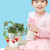 九月生草莓种子盆栽DIY趣味儿童种植盆栽花卉植物幼儿园开学季礼物