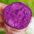产地直发包邮 山东紫罗兰紫薯4.5斤 新鲜时令蔬菜烤红薯蜜薯番薯地瓜食材