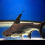 虎鲨蓝鲨鱼成吉思汗鲨鱼凶猛鱼白化鲨淡水热带鱼观赏鱼活体 7-8cm蓝鲨 10条