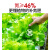 芭瑟曼薇尿素肥料农用氮肥种菜果树种花蔬菜花卉植物化肥通用型80斤大包装