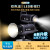金贝（JINBEI） 补光灯EF220BI可调色温直播灯led摄影灯拍摄视频录像柔光常亮灯氛围轮廓  EF220BI+EL300主灯 实景