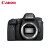 佳能（Canon） EOS 6D2 \/6D Mark II 专业全画幅数码单反相机 6D2 6d2 EF24-105F4L二代USM 基础礼包