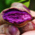 山东小紫薯5斤装 紫薯 山芋 洋芋 健康轻食 新鲜蔬菜