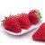 京鲜生  丹东红颜草莓 大果 500g礼盒装 单果重30g以上 新鲜水果礼盒