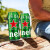 喜力（Heineken） 原装进口啤酒 精酿啤酒  啤酒整箱 喜力黄啤 500mL 24罐