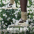 有志者（UZIS）专业运动袜男美式篮球袜跑步吸汗纯色毛巾底袜[新星] 白色长筒 三双装 M