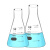纳仕德 SY4062 玻璃锥形瓶 带刻度化学实验室敞口烧杯 高硼硅三角烧瓶 广口（250ML） 
