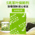 枫摇叶 5克g茶叶专用保鲜剂 小包脱氧剂 花茶绿茶除湿干燥剂 100袋